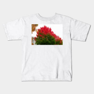 Red green fall trees thanksgiving Kids T-Shirt